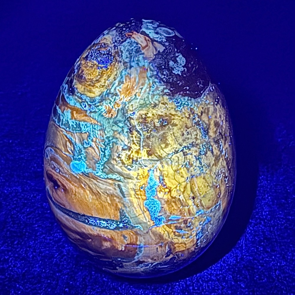 EGG802 Petrified Wood