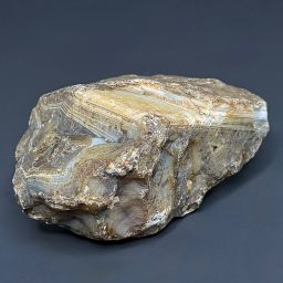 BCR321 Black Skin Agate