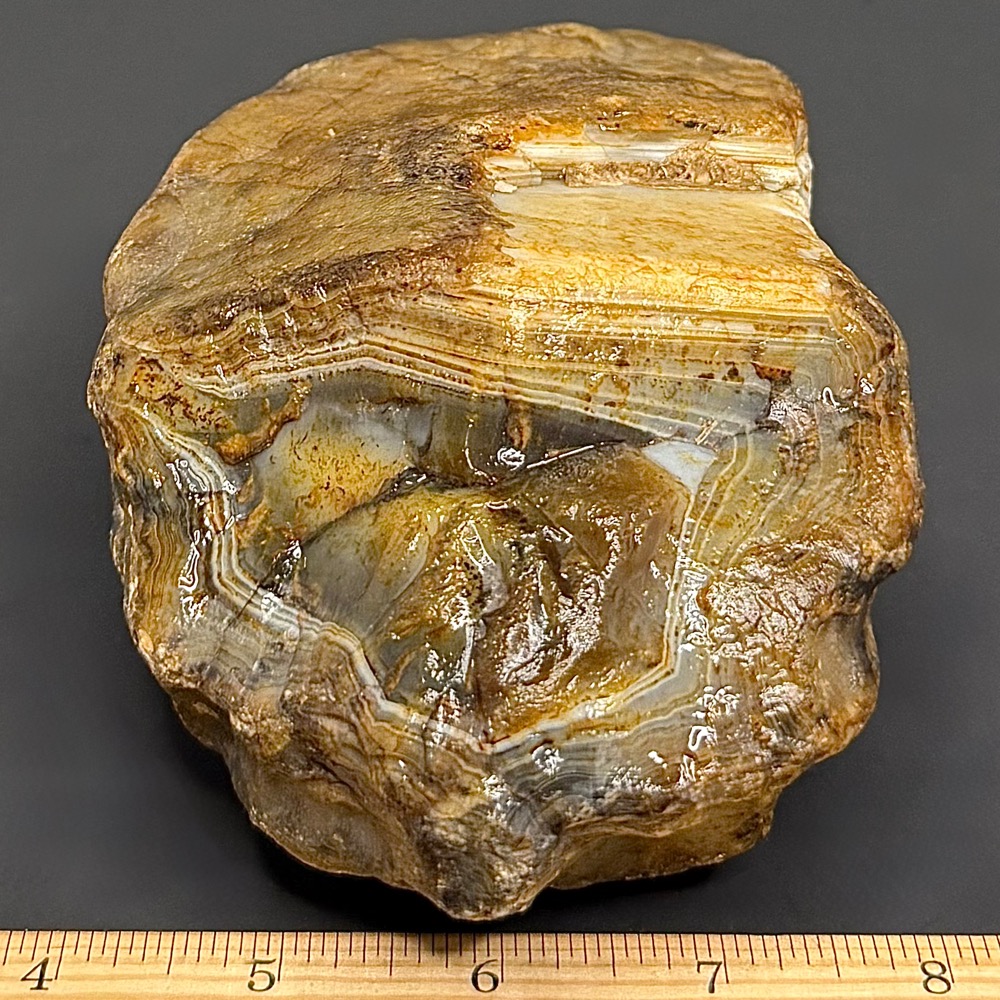 BCR321 Black Skin Agate - Image 4