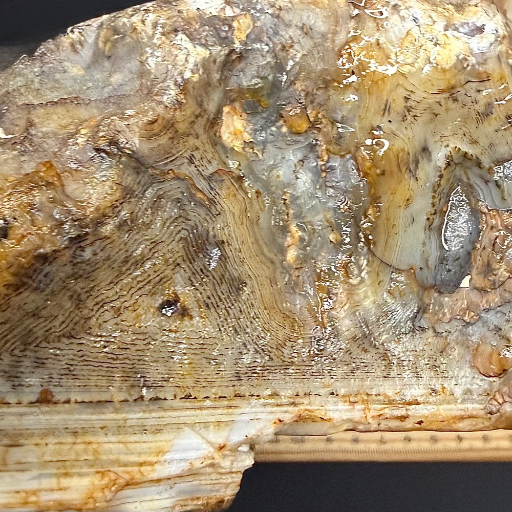 BCR321 Black Skin Agate