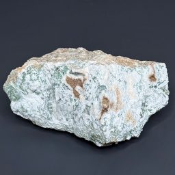 BCR404 India Green Tree Agate