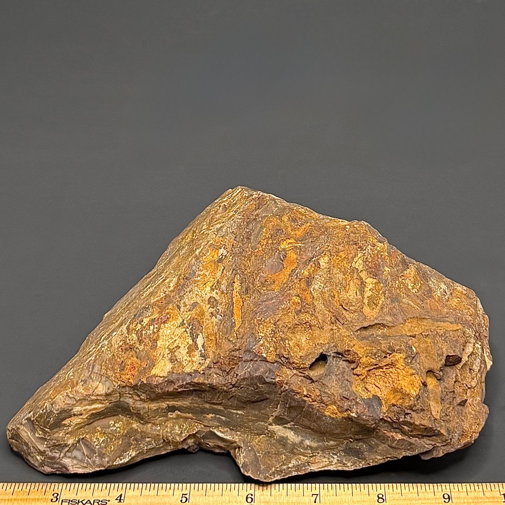 GR101 Outback Jasper - Image 2