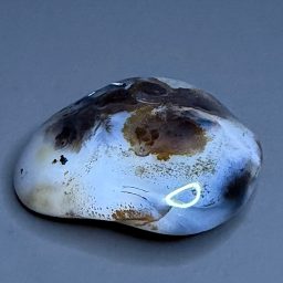 PR902 Black Skin Agate