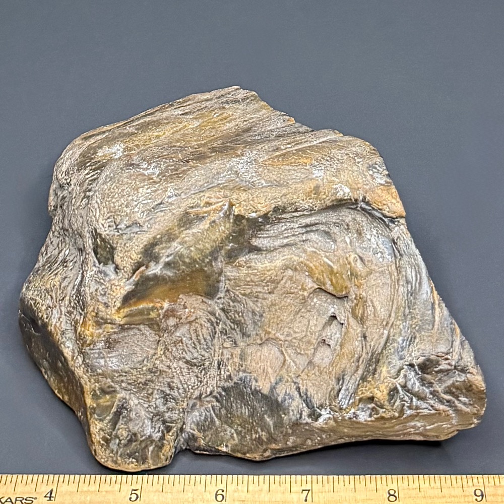 PW101 South Dakota Petrified Wood - Image 2