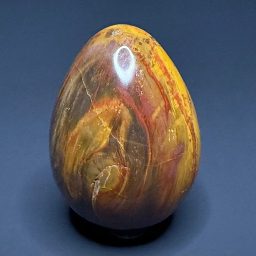 EGG604 Petrified Wood