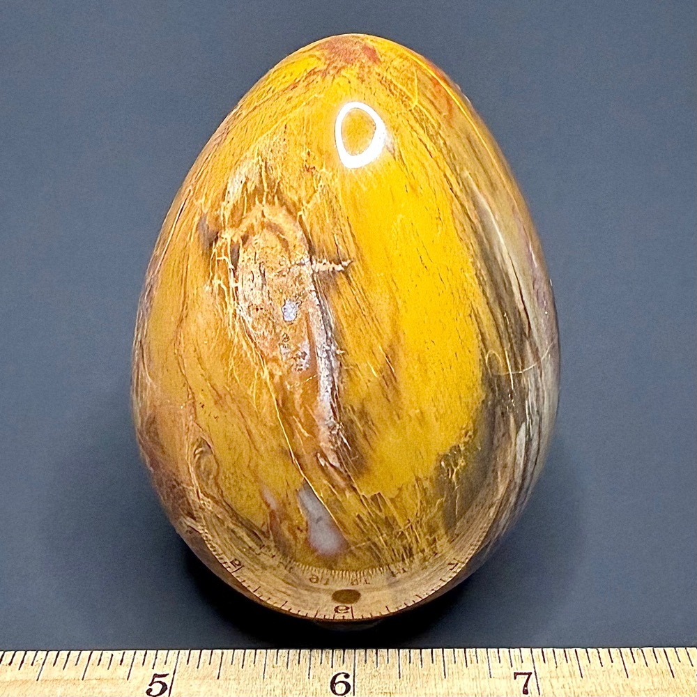 EGG604 Petrified Wood - Image 2