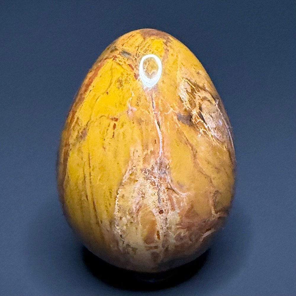 EGG604 Petrified Wood