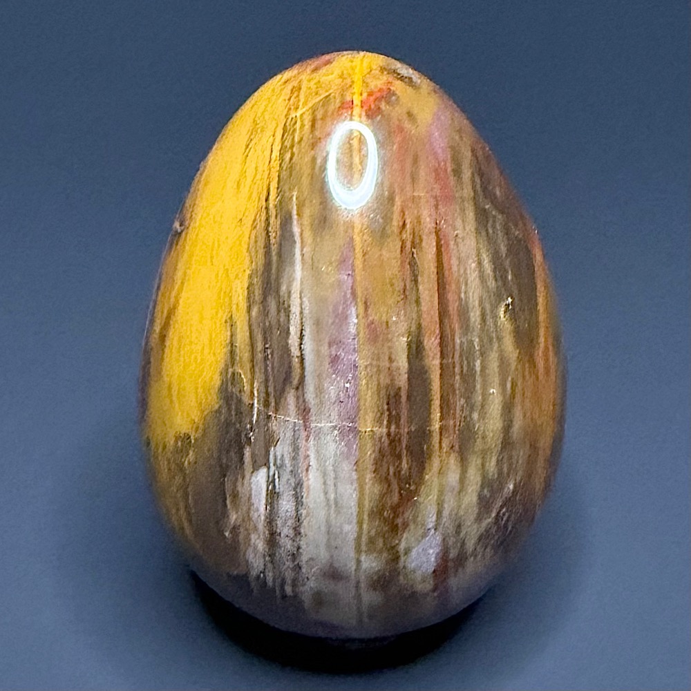 EGG604 Petrified Wood - Image 3