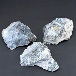 BCR409 Parral Jasper