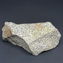 BCR319 Dalmatian Stone