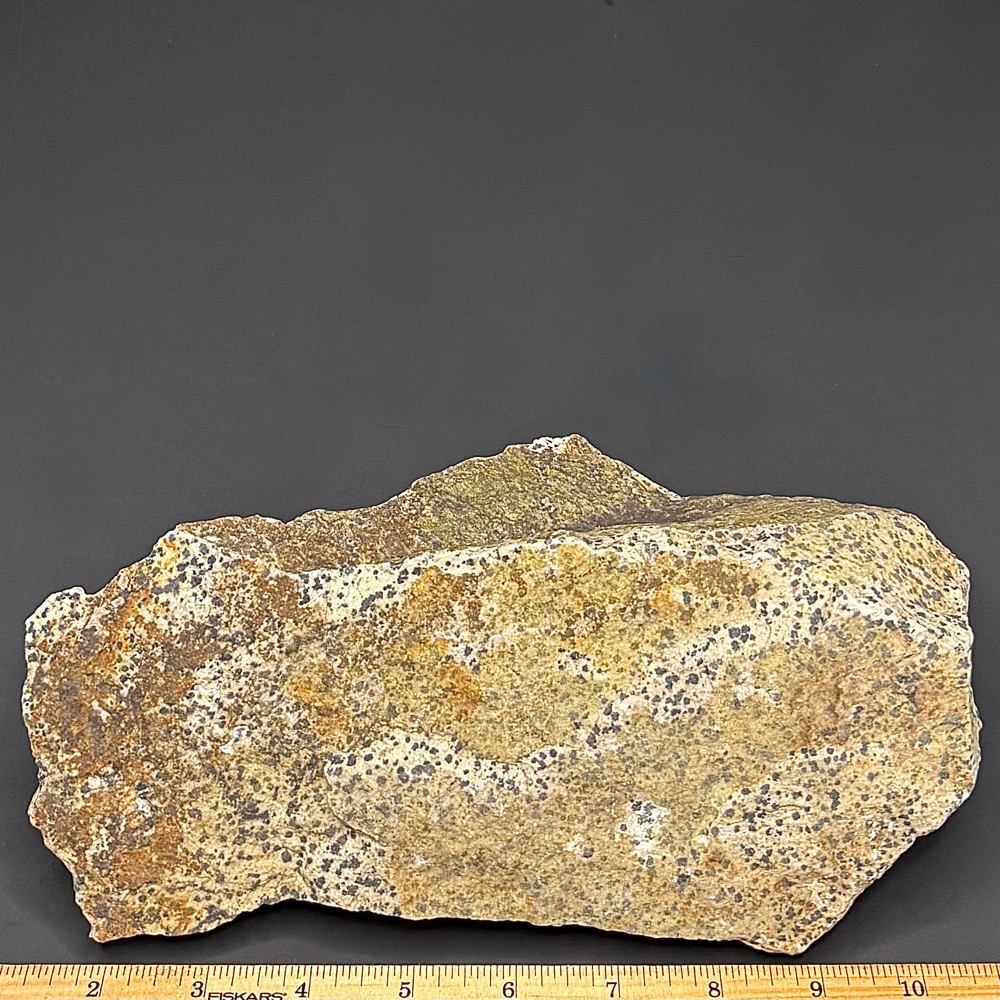 BCR319 Dalmatian Stone