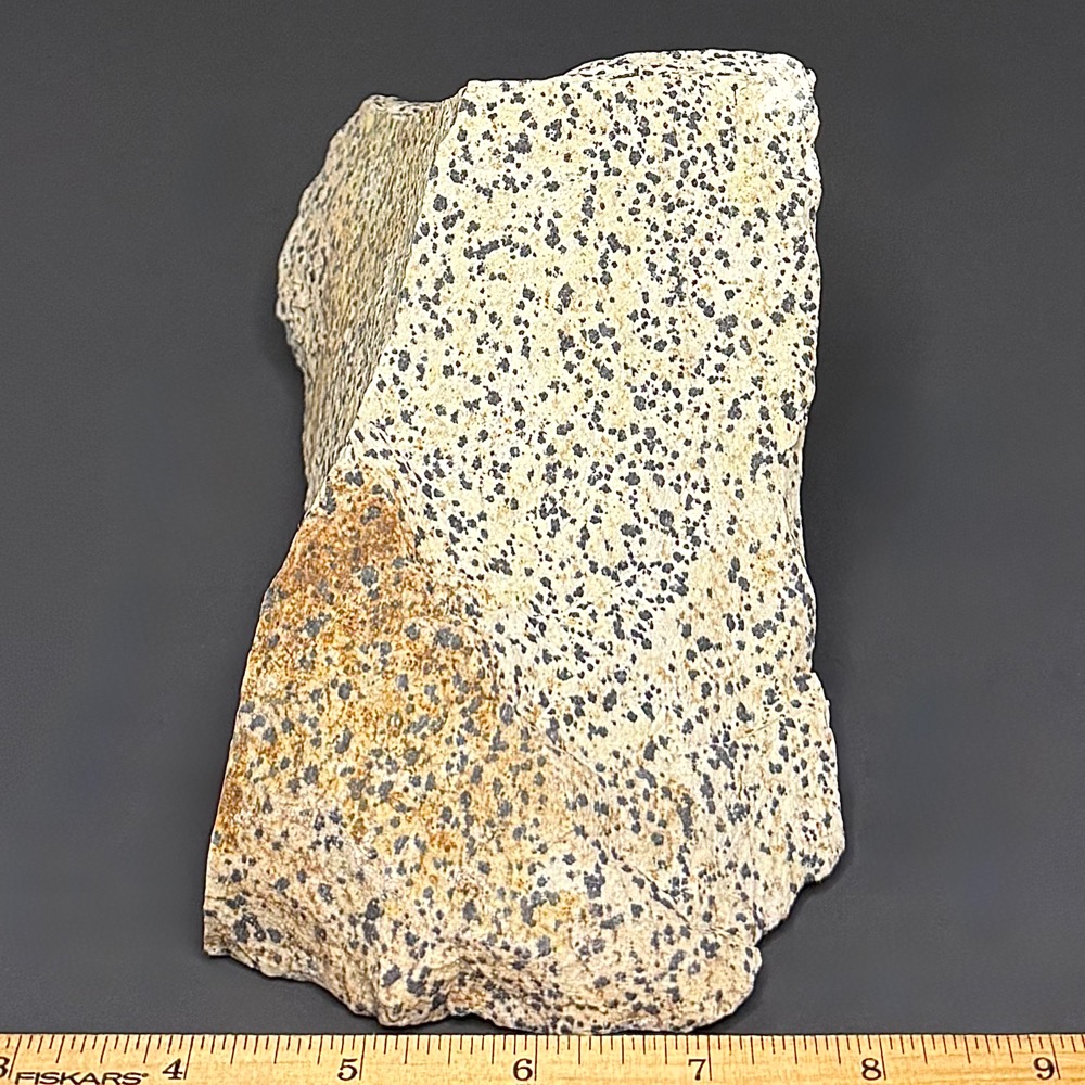 BCR319 Dalmatian Stone