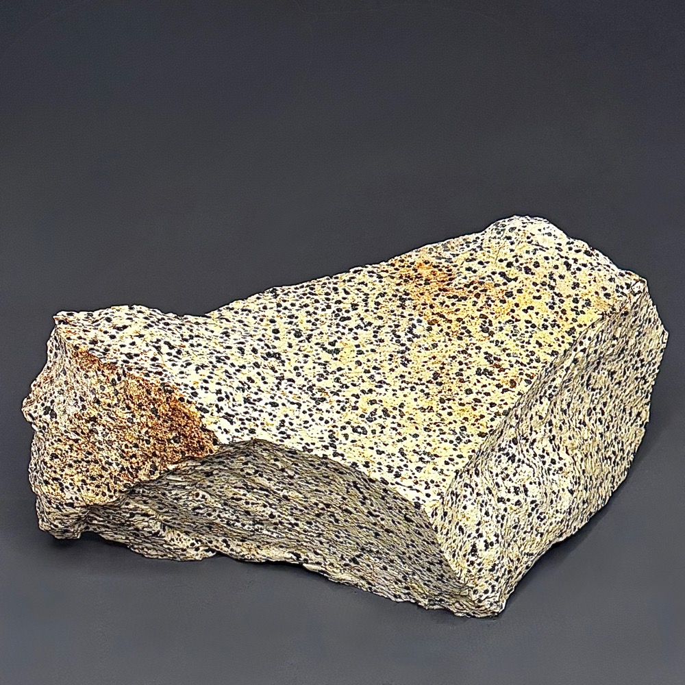BCR319 Dalmatian Stone