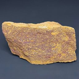 BCR415 Coquina Jasper