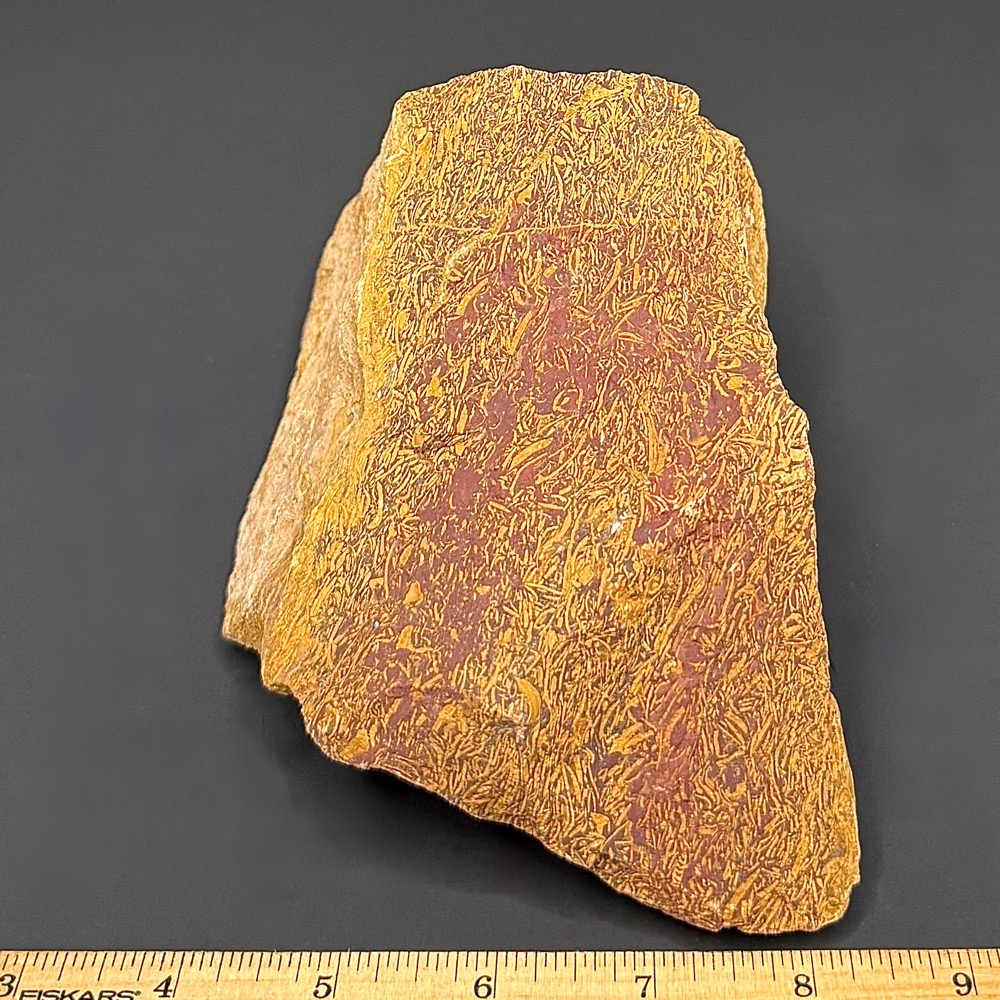 BCR415 Coquina Jasper - Image 2
