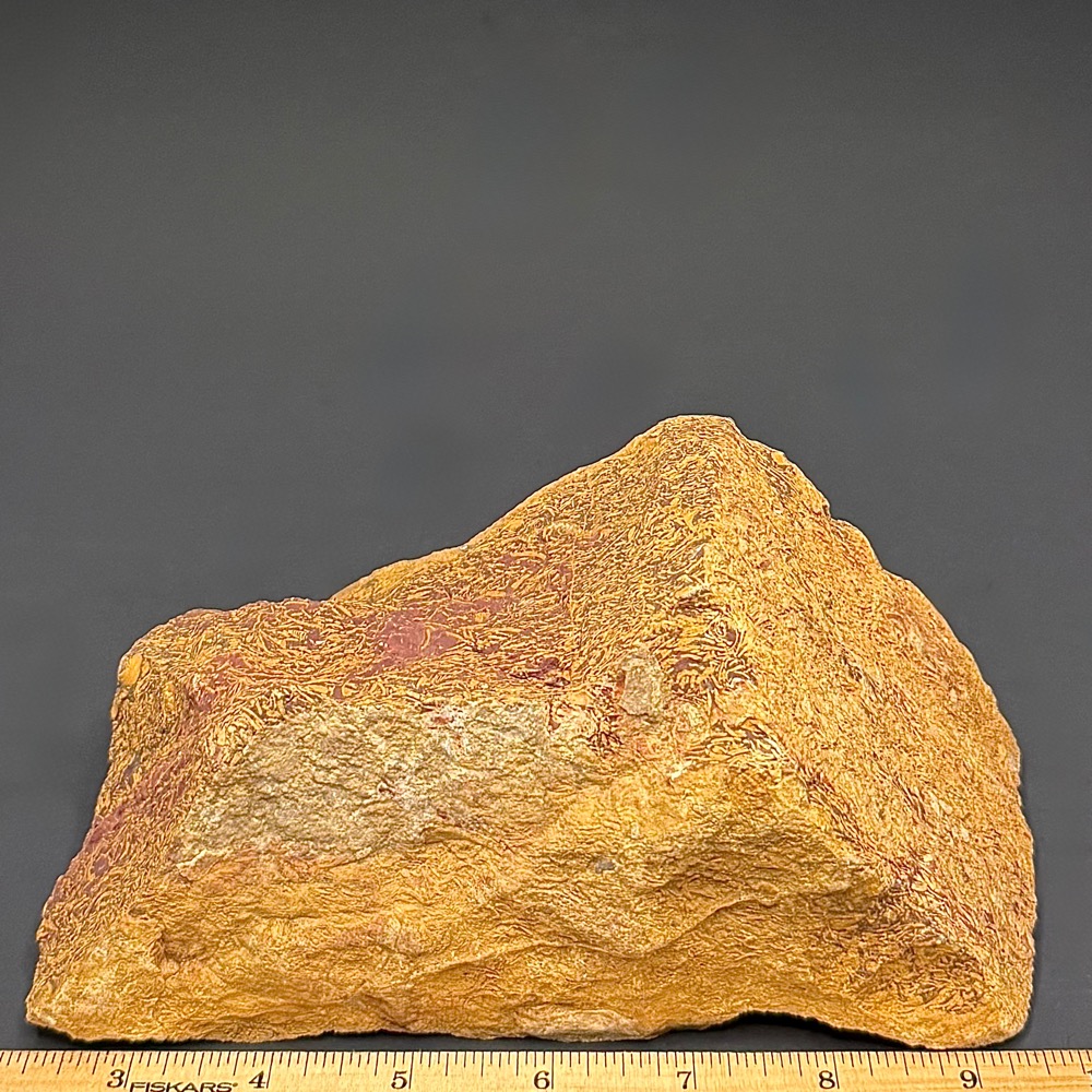 BCR415 Coquina Jasper - Image 3
