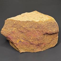 BCR415 Coquina Jasper