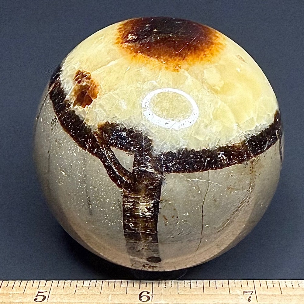 SP414 Septarian - Image 3