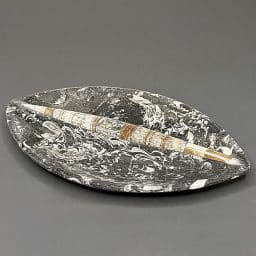 FO507 Fossil Rock Dish