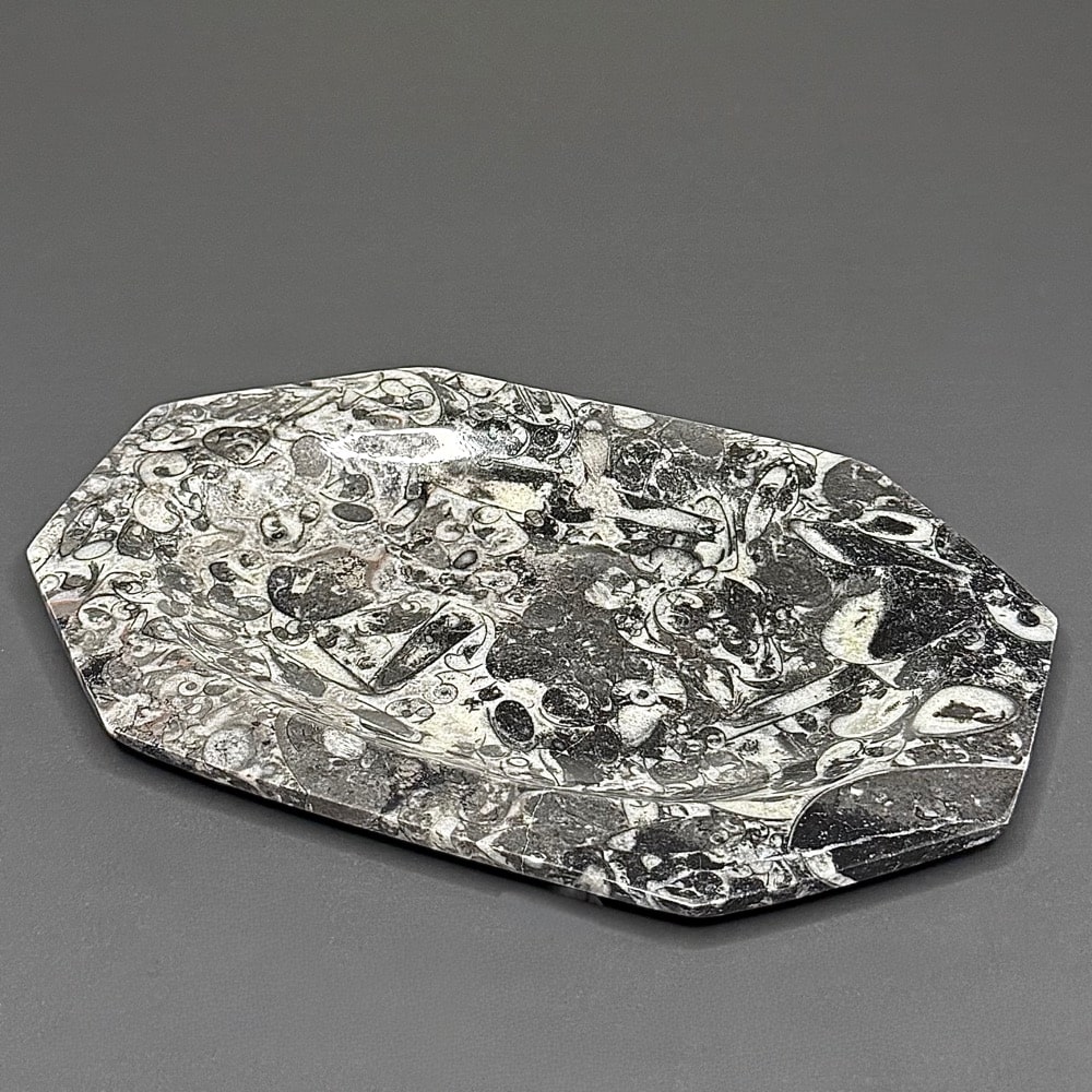 FO601 Fossil Rock Dish