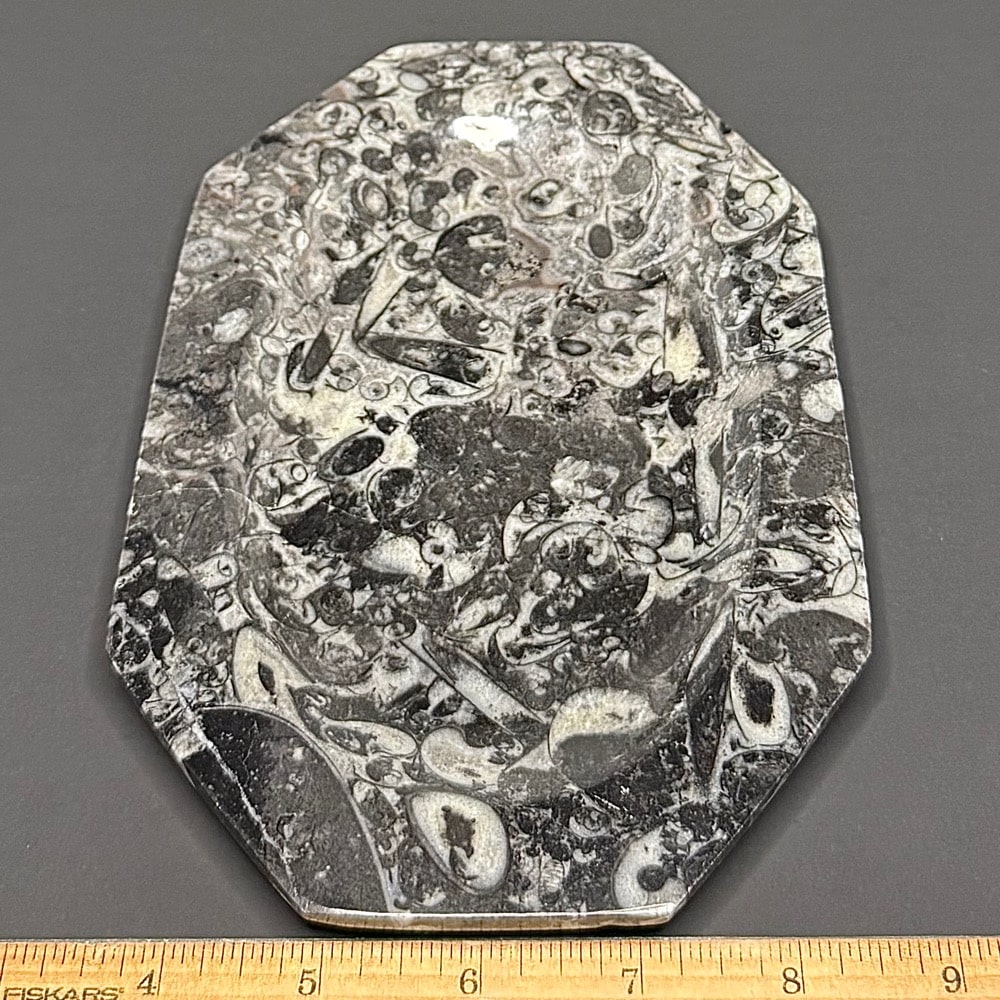 FO601 Fossil Rock Dish - Image 2