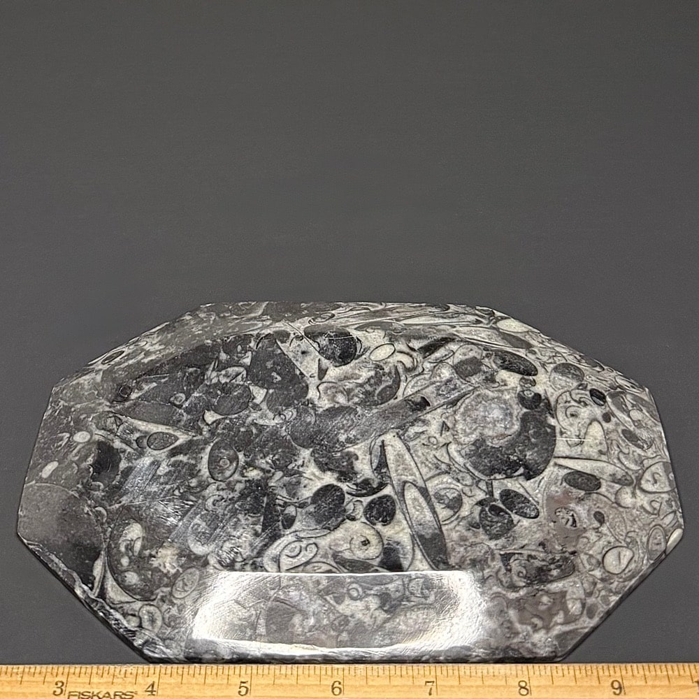 FO601 Fossil Rock Dish - Image 3