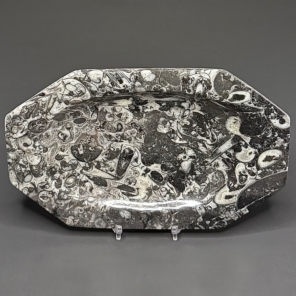 FO601 Fossil Rock Dish