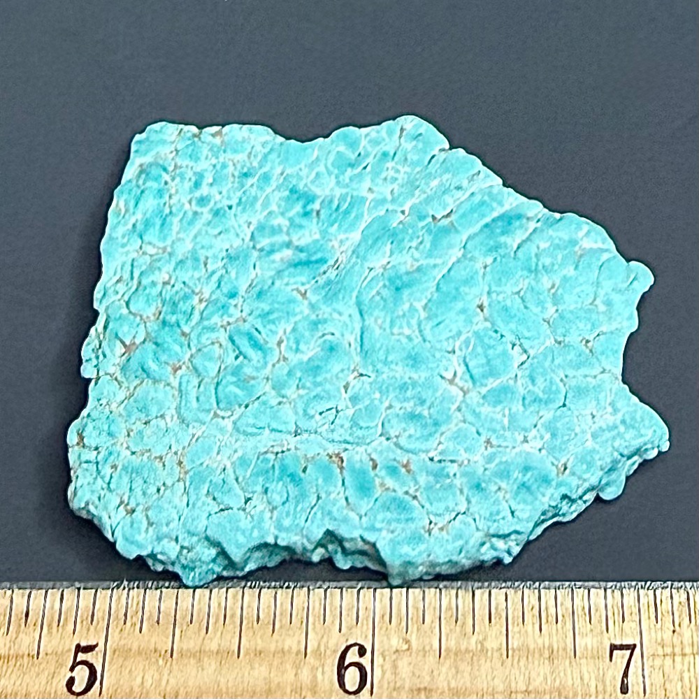 M215 Turquoise - Image 2