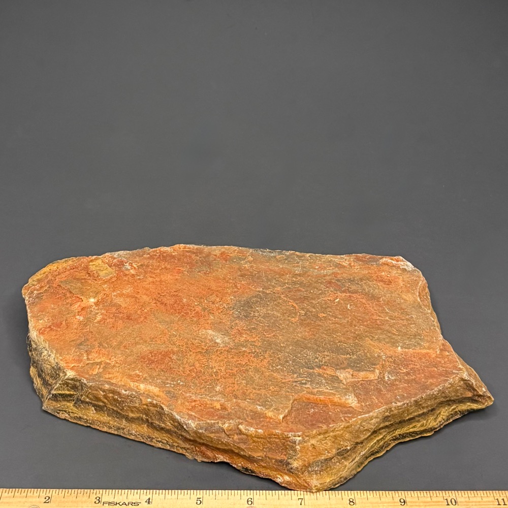 BCR300 Tiger Eye - Image 2