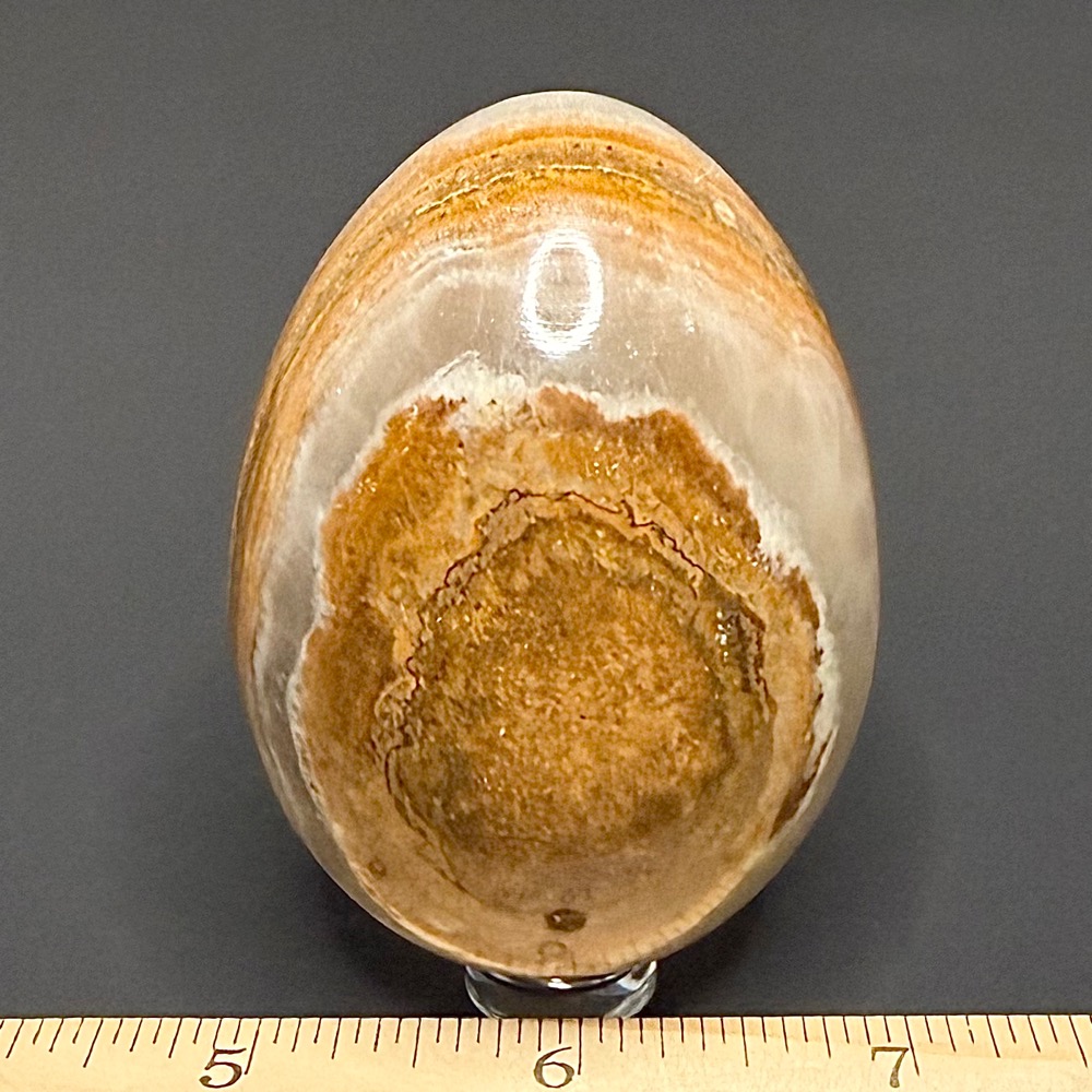 EGG110 Onyx - Image 2