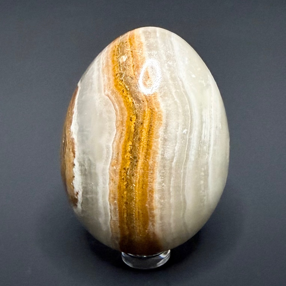EGG110 Onyx - Image 3