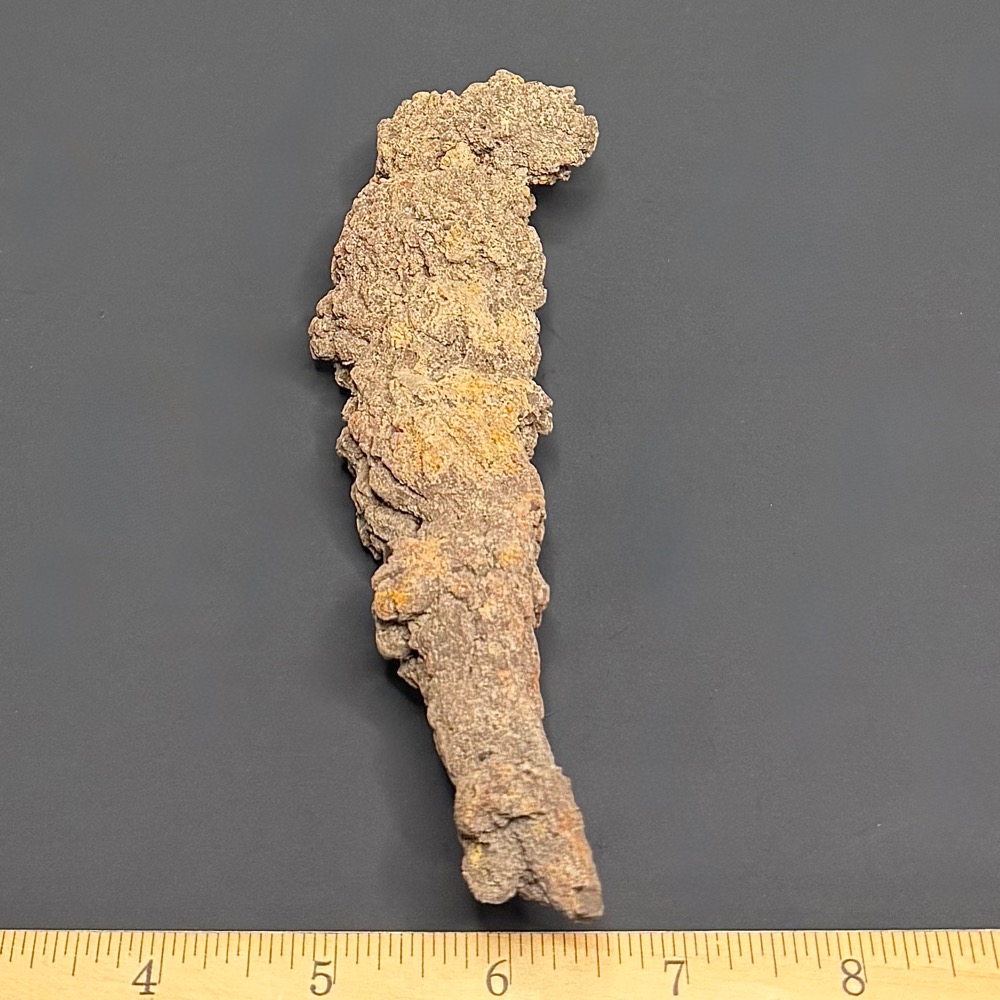 FO510 Fossil Coprolite (Turtle Poop) - Image 3