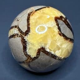 SP900 Septarian