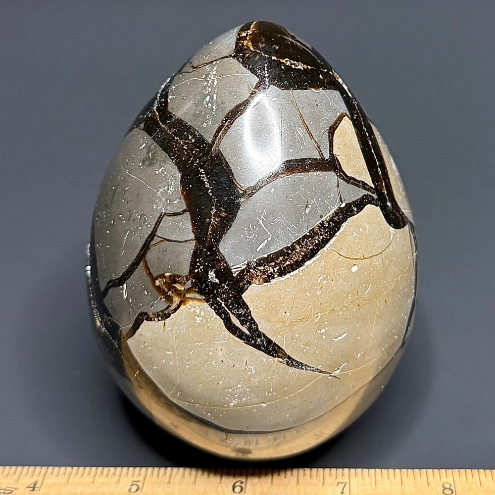 GAL936 MADAGASCAR SEPTARIAN WITH CALCITE EGG - Image 2
