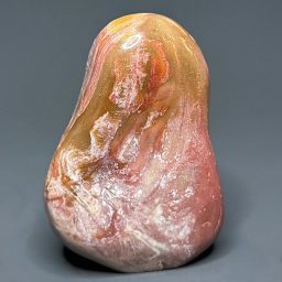 PR611 Petrified Wood