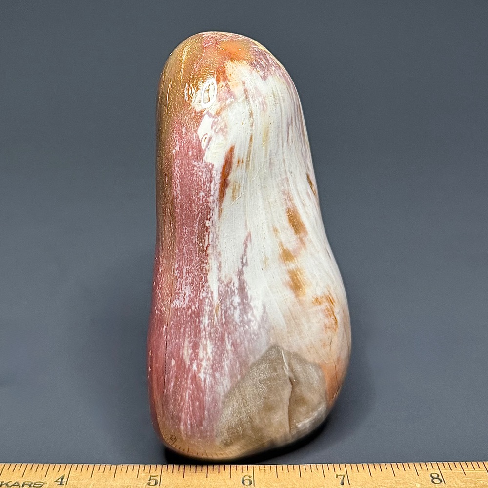 PR611 Petrified Wood - Image 2
