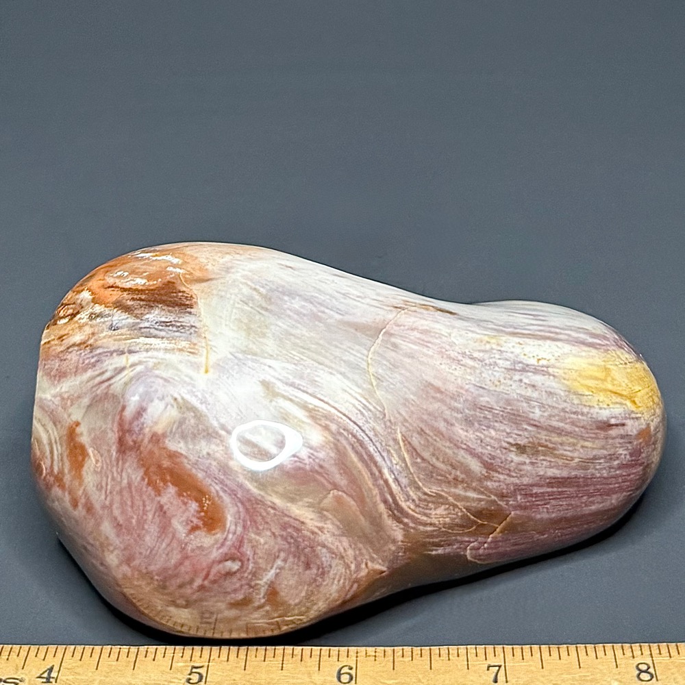 PR611 Petrified Wood - Image 3