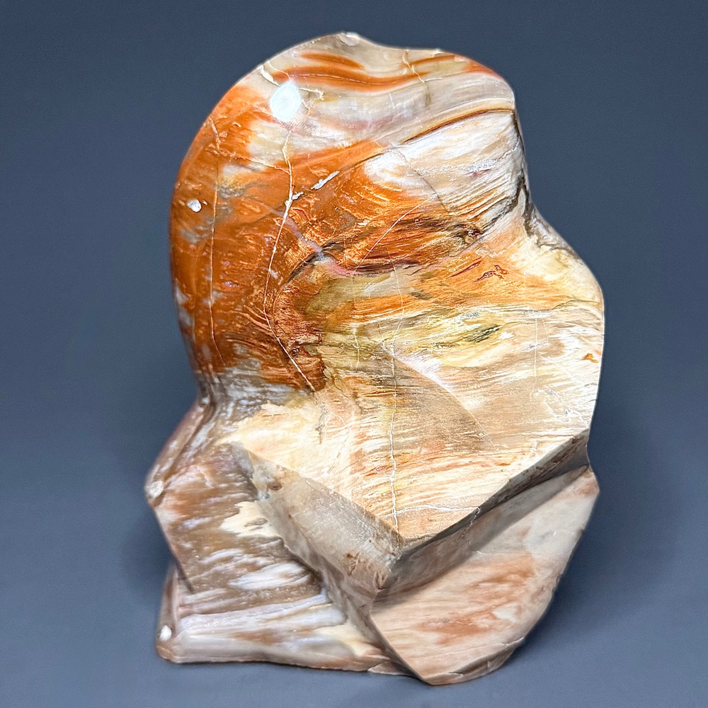 PR702 Petrified Wood Freeform