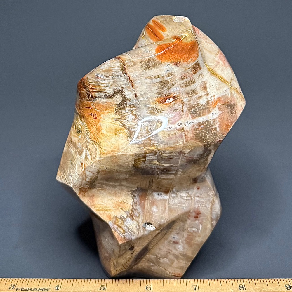 PR702 Petrified Wood Freeform - Image 2