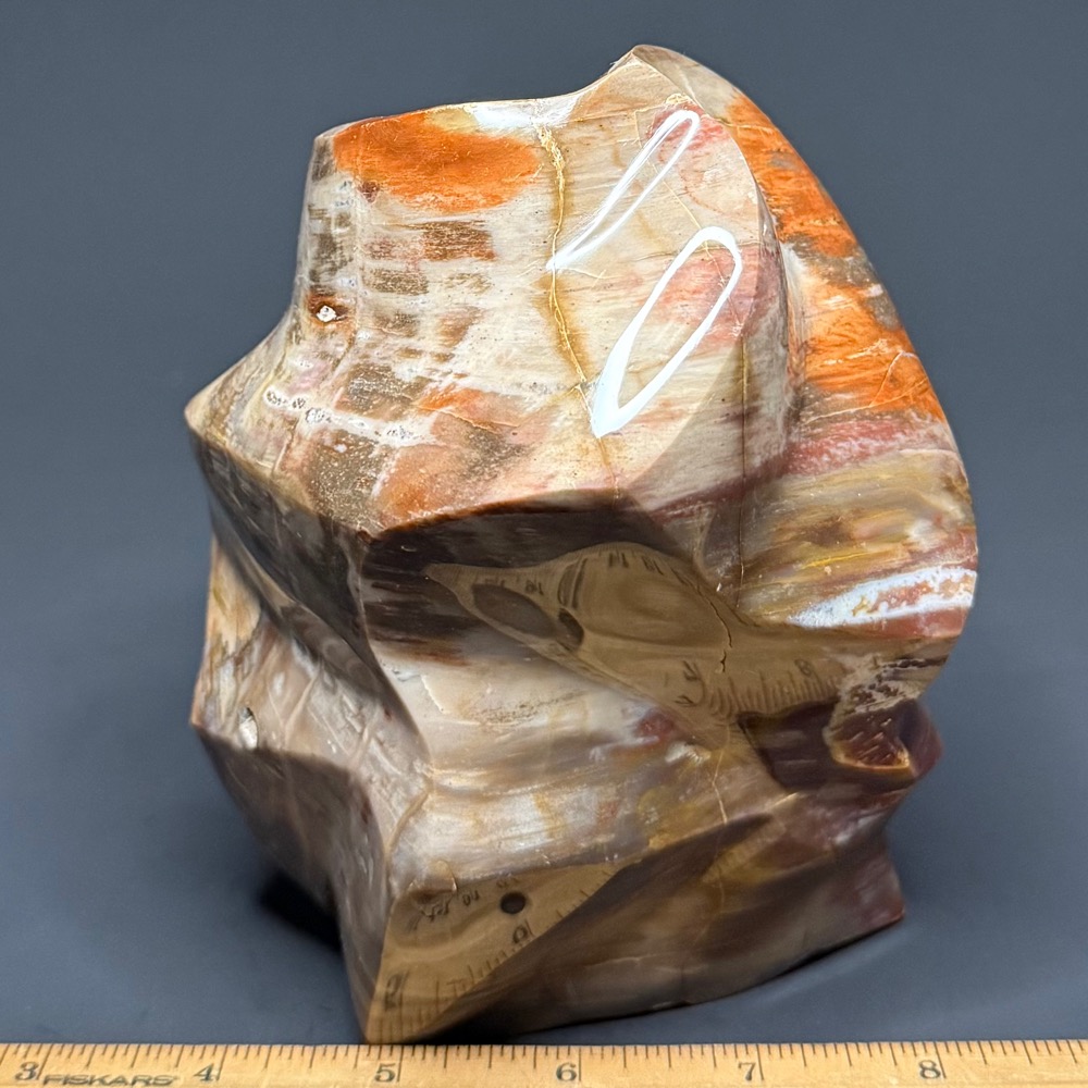 PR702 Petrified Wood Freeform - Image 3