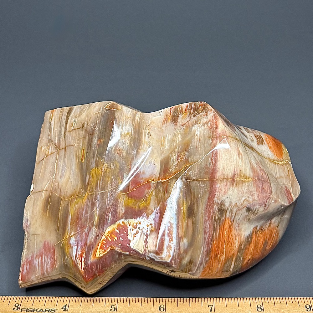 PR702 Petrified Wood Freeform - Image 4