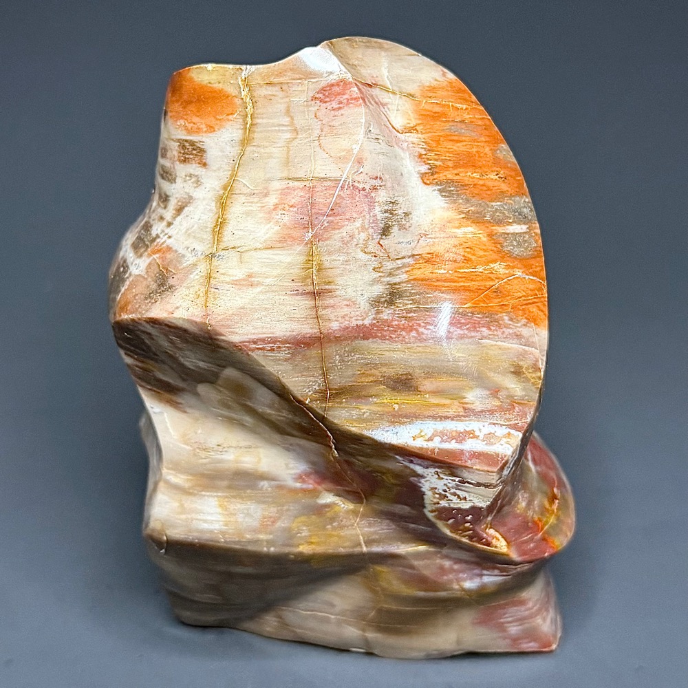 PR702 Petrified Wood Freeform - Image 5