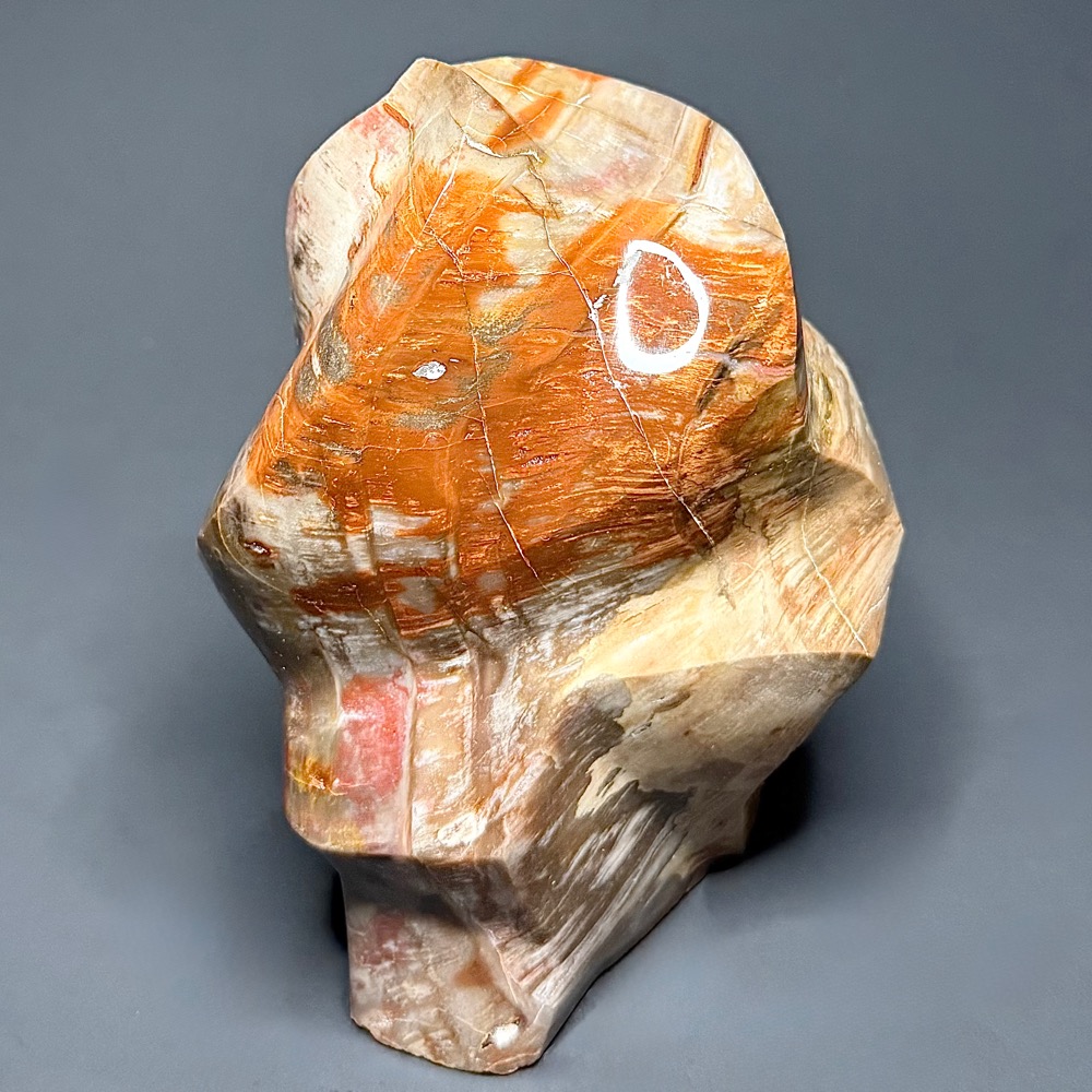 PR702 Petrified Wood Freeform - Image 6