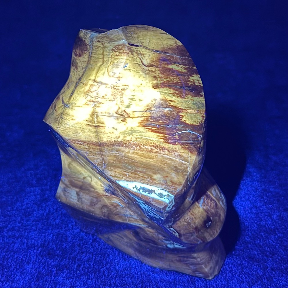 PR702 Petrified Wood Freeform