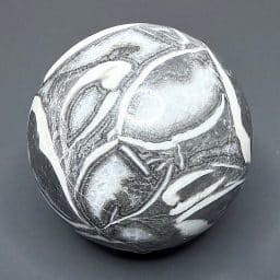 SP109 Fossil Shall Marble