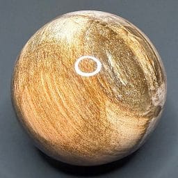 SP303 Petrified Wood