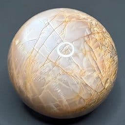 SP429 Salmon Moonstone