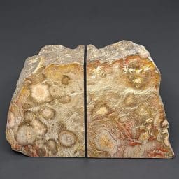 BK103 Petrified Wood Bookends