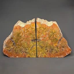 BK206 Petrified Wood Bookends
