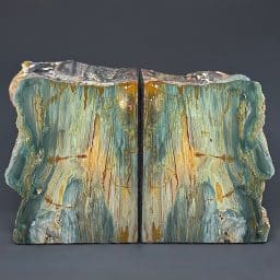 BK309 Gary Green Jasper Petrified Bogwood Bookends